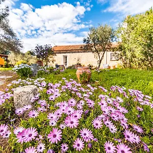 Casa vacanze Casa Lilliosa Italia